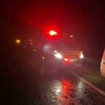 Domuza çarpan otomobil uçuruma yuvarlandı