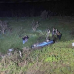 Domuza çarpan otomobil uçuruma yuvarlandı