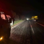 Domuza çarpan otomobil uçuruma yuvarlandı