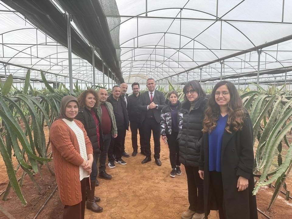 "Efeler’de Pitaya Güçleniyor" projesi incelendi 10 “Efeler’de Pitaya Güçleniyor” projesi incelendi
