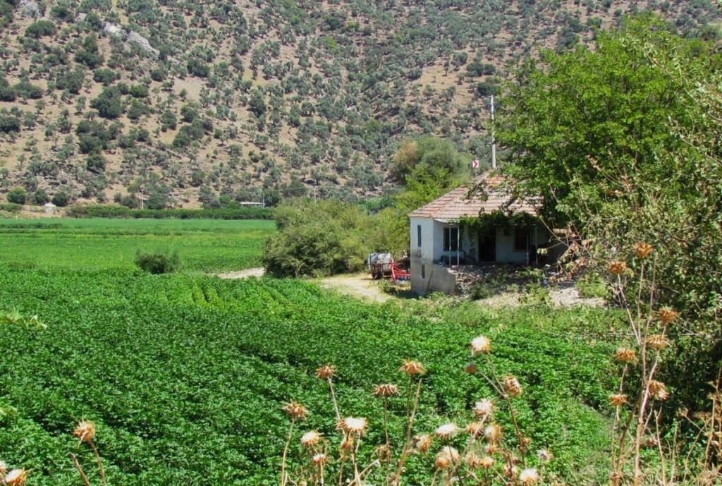 ekodosd baskani surucu soke ovasi antik donemdeki deniz gorunumune dondu c83a4c46b731