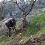 Film sahnesi değil gerçek hayat