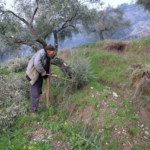 Film sahnesi değil gerçek hayat