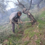 Film sahnesi değil gerçek hayat