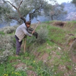 Film sahnesi değil gerçek hayat