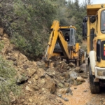 Karacasu’da aşırı yağışlar sonrası toprak kaydı, ağaçlar devrildi