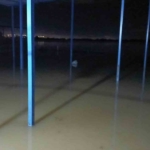 Koçarlı’da su baskını sonrası hayvan tahliyesi sürüyor