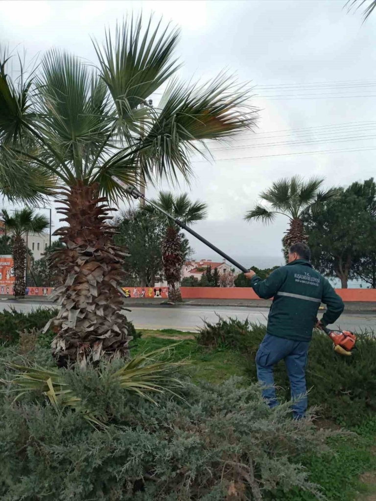 Kuşadası Belediyesi daha temiz ve daha yeşil bir kent için çalışıyor 6 kusadasi belediyesi daha temiz ve daha yesil bir kent icin calisiyor 4e2b23290a66