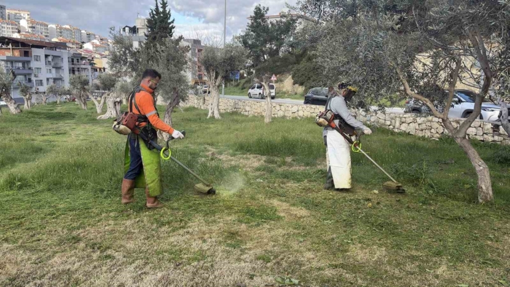 Kuşadası Belediyesi daha temiz ve daha yeşil bir kent için çalışıyor 3 kusadasi belediyesi daha temiz ve daha yesil bir kent icin calisiyor e6f6451afd18