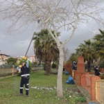Nazilli Belediyesi yürüyüş yollarını bakıma aldı