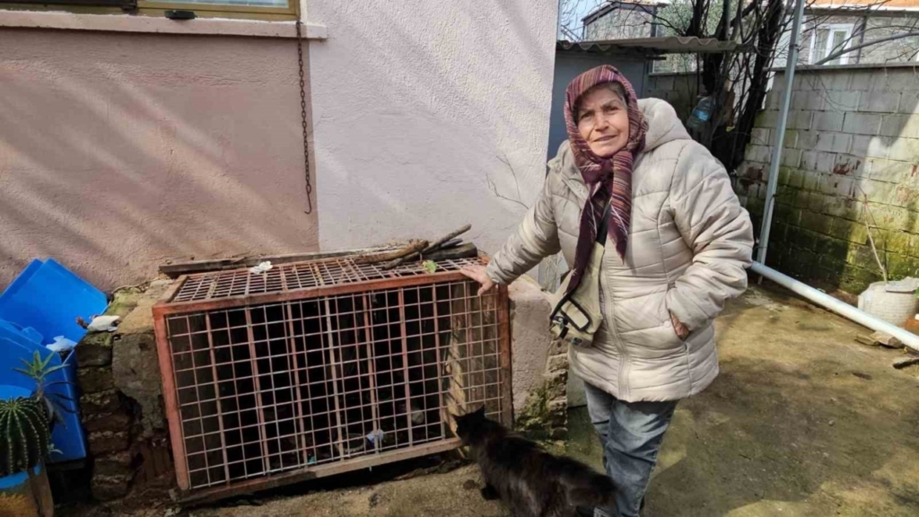 Nazilli’de mahalle sular altında kaldı, ekipler anında müdahale etti 12 nazillide mahalle sular altinda kaldi ekipler aninda mudahale etti 59cf7ecdc668