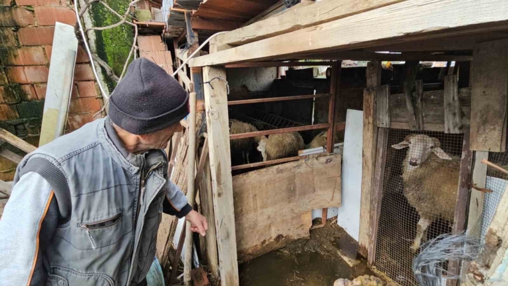 Nazilli’de mahalle sular altında kaldı, ekipler anında müdahale etti 7 nazillide mahalle sular altinda kaldi ekipler aninda mudahale etti dbbc7daace5e