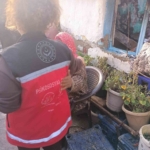 Yangın mağduru aileye barınma ve sosyal destek