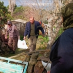 Yılın ilk leylekleri gelmeye başladı, ilk gören 1 çuval unu kaptı