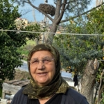 Yılın ilk leylekleri gelmeye başladı, ilk gören 1 çuval unu kaptı