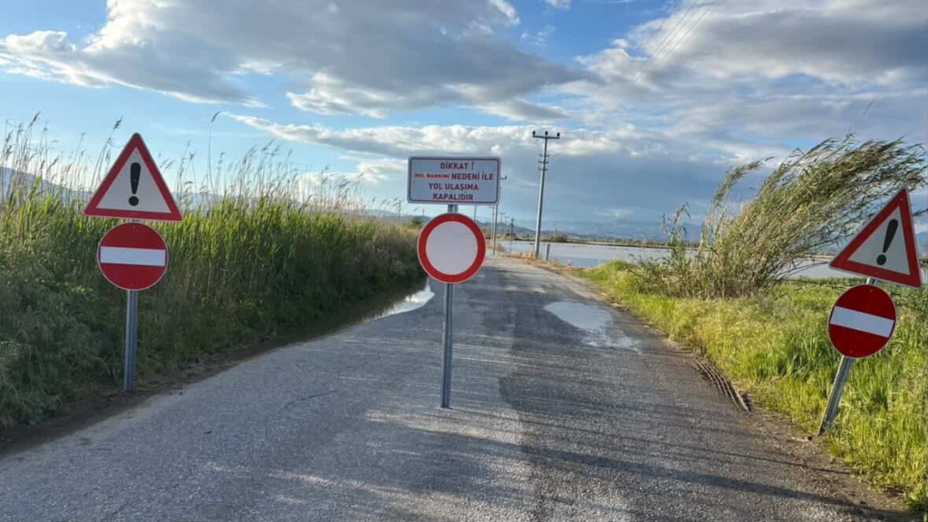 05ad04fd 0de8 4dc7 a5ff 369ec578690d 1