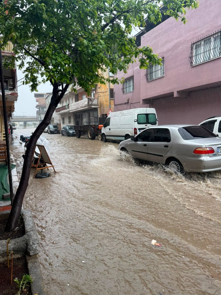 373ecb5c 0d0a 416c ba16 85c551dda0c0