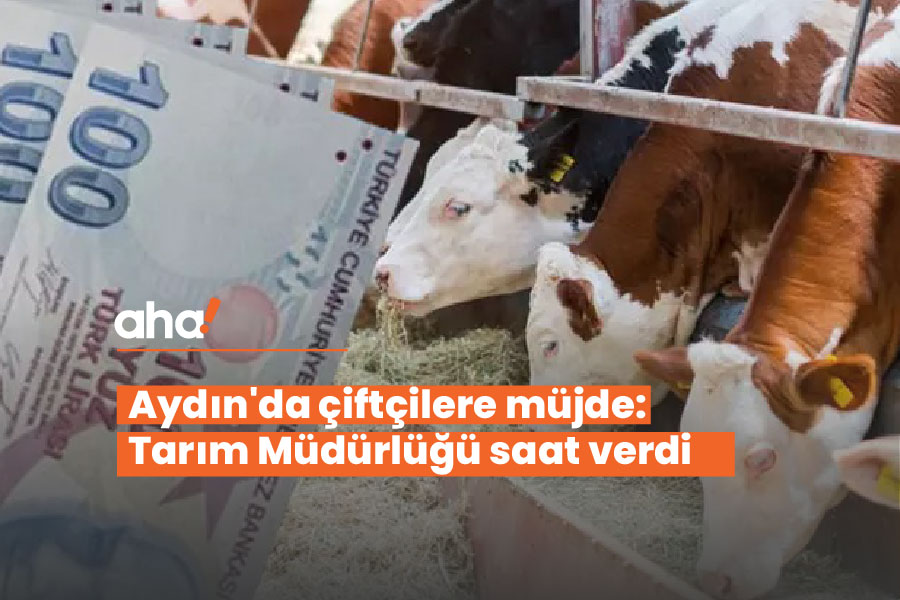 Aydın’da çiftçilere müjde: Tarım Müdürlüğü saat verdi