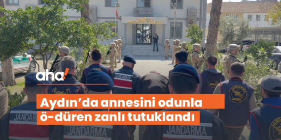 Aydın’da annesini odunla öldüren zanlı tutuklandı