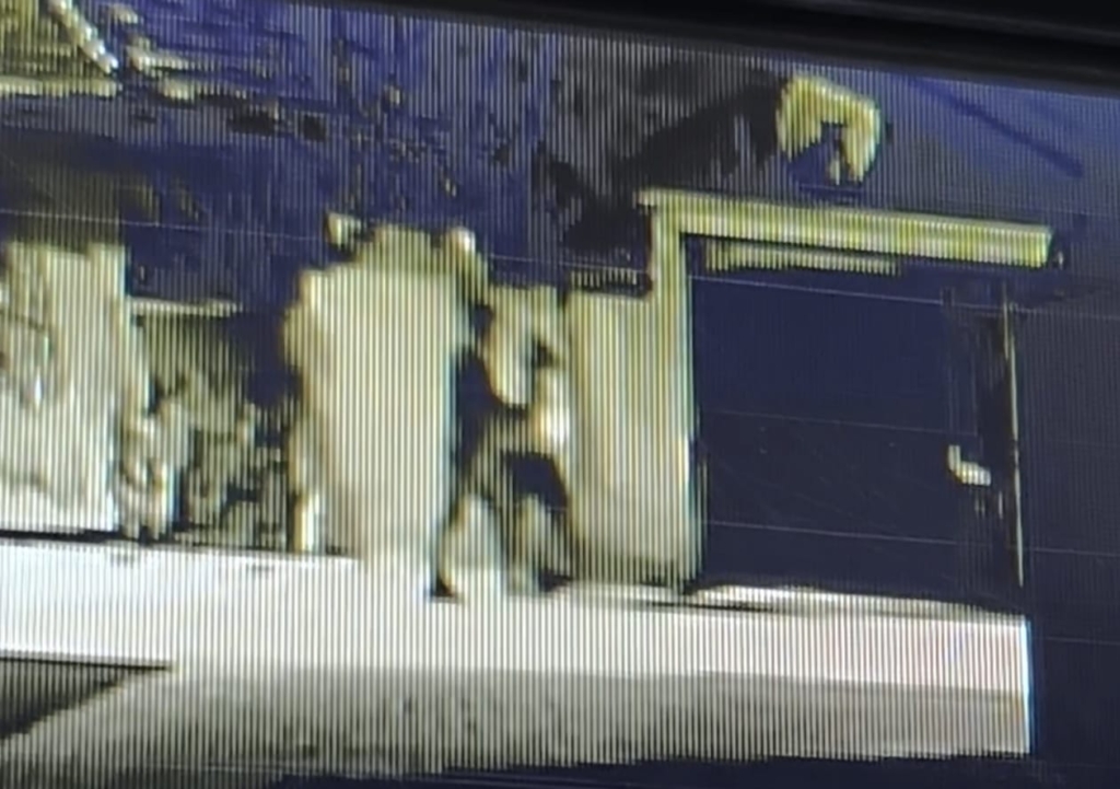 WhatsApp Image 2026 03 02 at 11.02.22