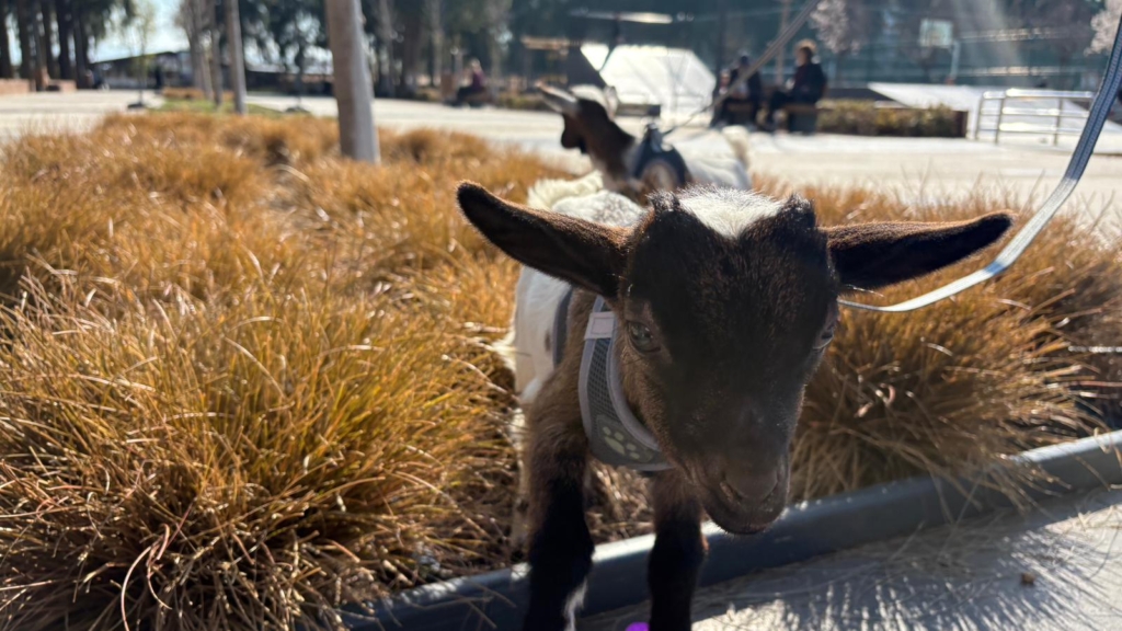 WhatsApp Image 2026 03 02 at 15.36.22 1