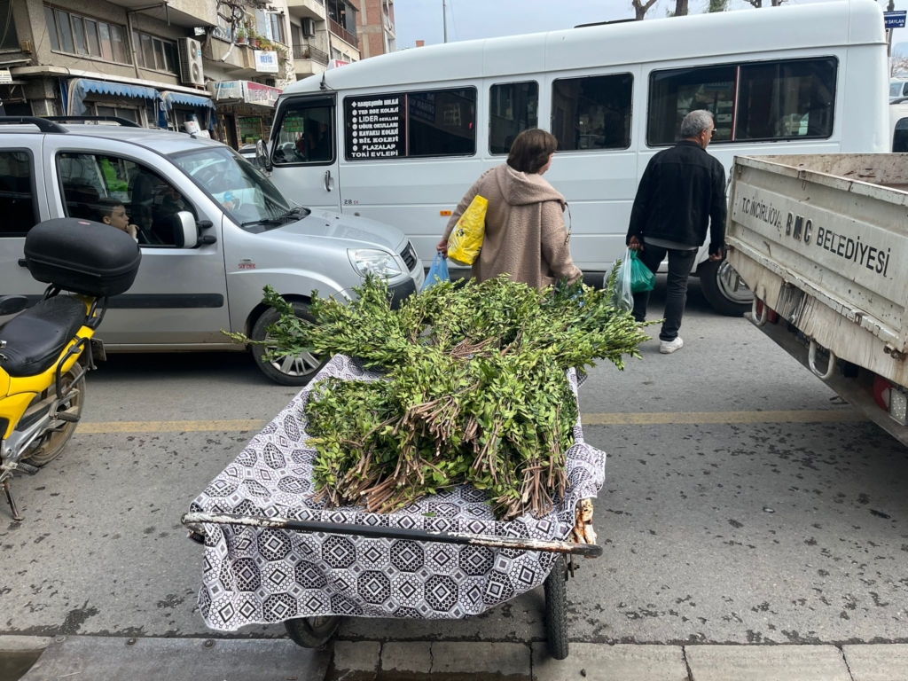 WhatsApp Image 2026 03 19 at 10.59.19 1