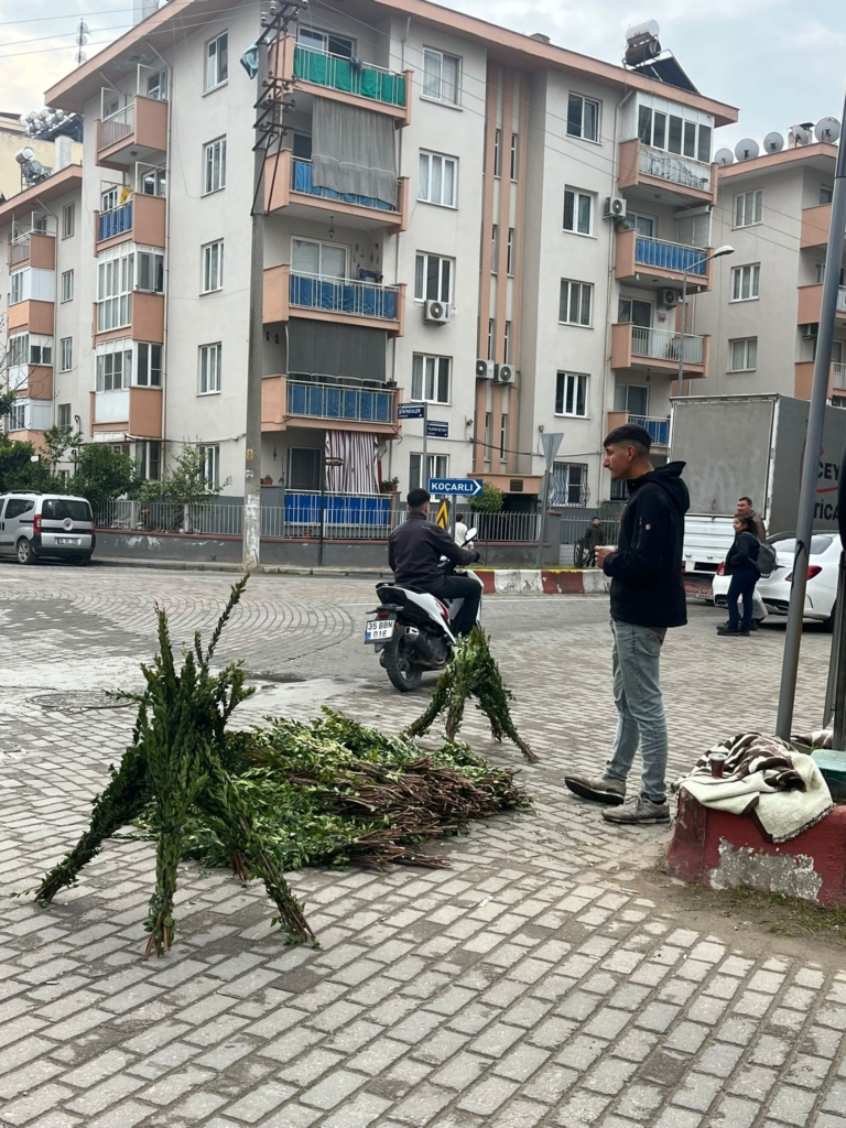 WhatsApp Image 2026 03 19 at 10.59.19 2