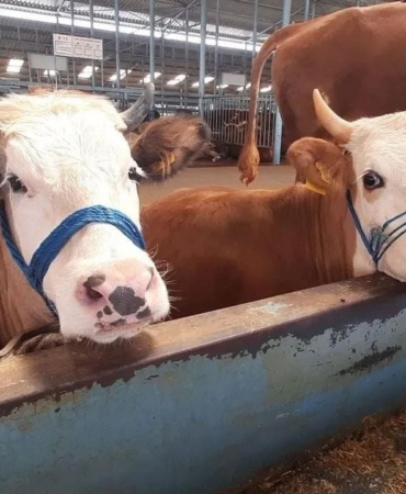 WhatsApp Image 2026-03-23 at 14.30.58