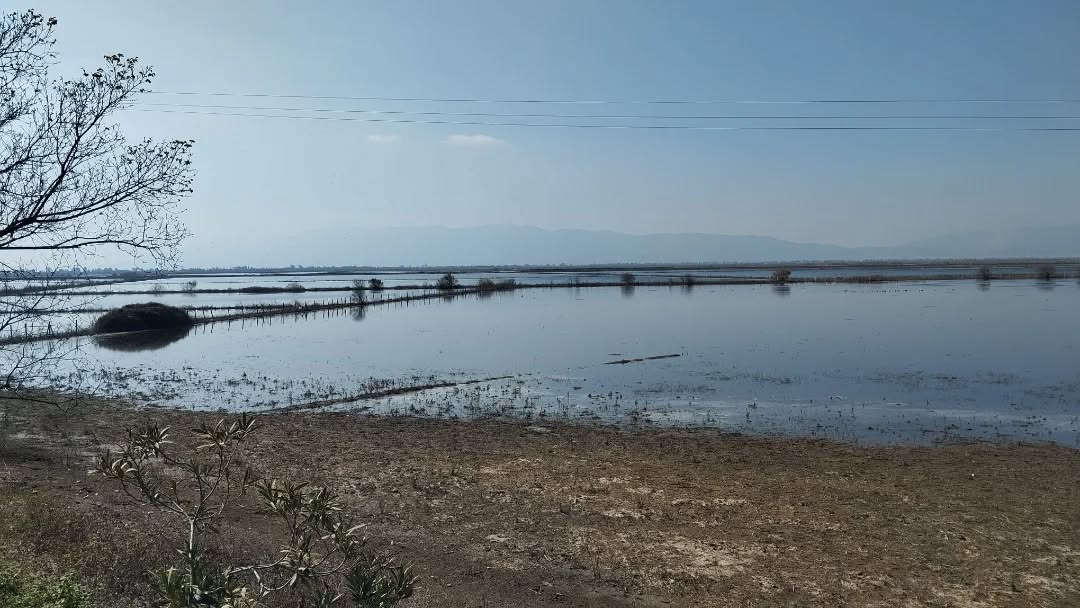 Söke’de sel felaketinin yaraları sarılıyor: Çalışmalarda sona doğru…