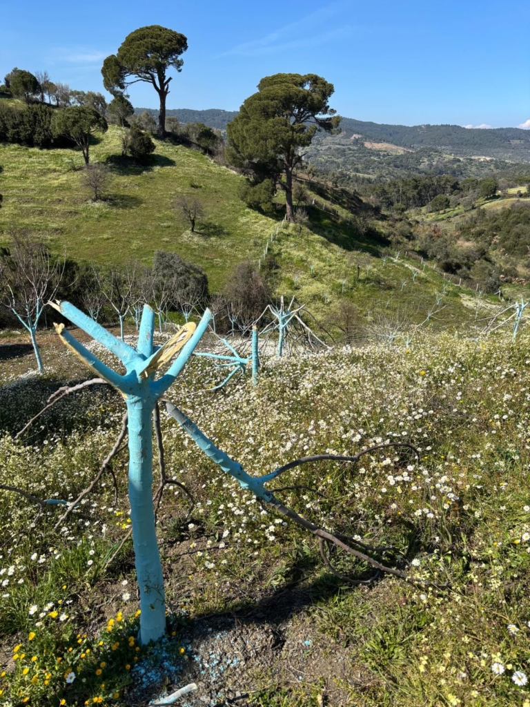 WhatsApp Image 2026 03 26 at 17.43.51