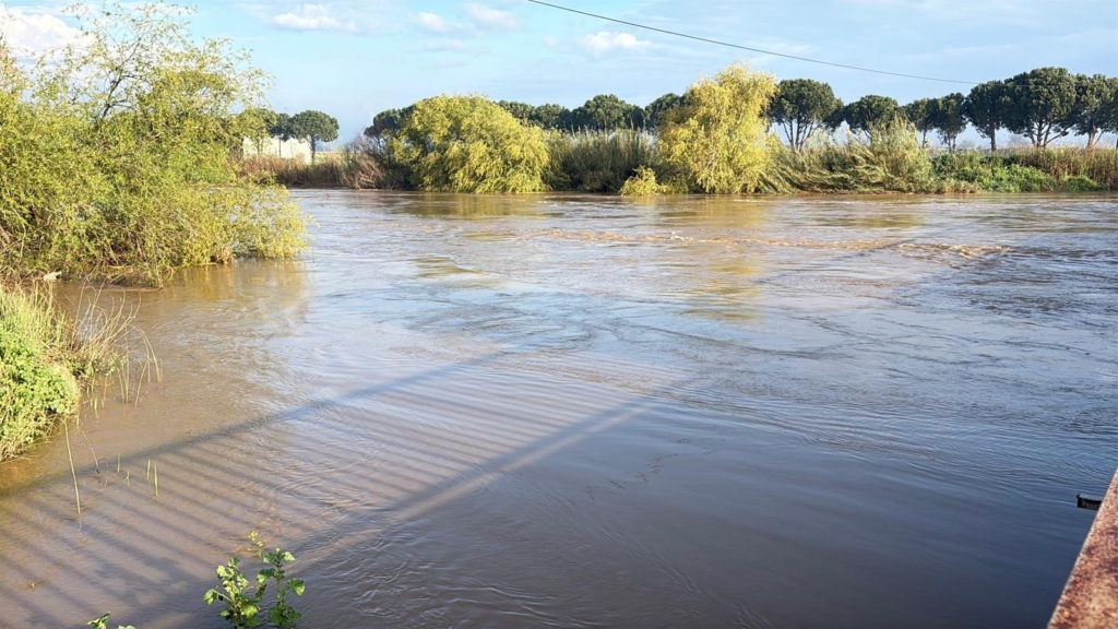 Aydın'ı yağmur vurdu Menderes Nehri taştı! Yol kapandı 3 WhatsApp Image 2026 03 30 at 08.46.30