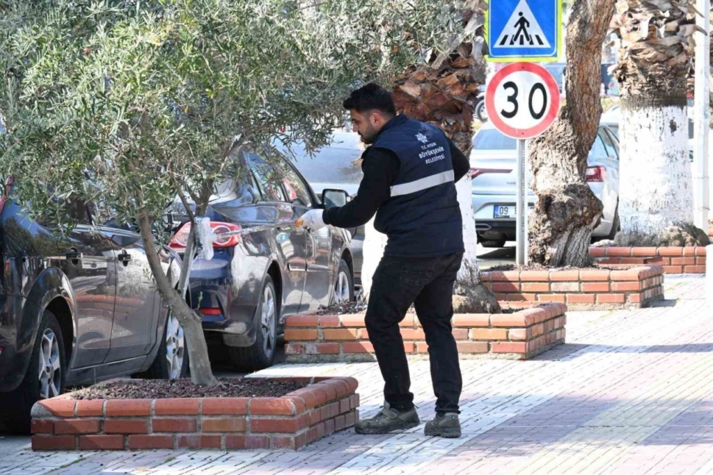 Aydın Büyükşehir’den bayram öncesi Kuşadası’nda çevre düzenlemesi 3 aydin buyuksehirden bayram oncesi kusadasinda cevre duzenlemesi 7a73e34d2439