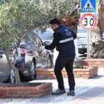 Aydın Büyükşehir’den bayram öncesi Kuşadası’nda çevre düzenlemesi