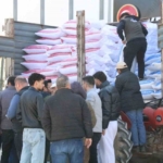 Aydın Büyükşehir’den Yenipazarlı üreticilere yem desteği