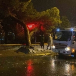 Aydın kent merkezinde faciadan dönüldü: Asırlık çam ağacı devrildi