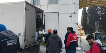 Aydın’da nakil belgesiz 290 kasa balığa el konuldu