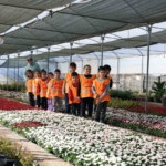 Aydın’da öğrenciler doğa sevgisini öğreniyor