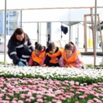 Aydın’da öğrenciler doğa sevgisini öğreniyor