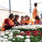 Aydın’da öğrenciler doğa sevgisini öğreniyor