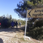 Aydın’ın "öksüz" antik kenti Amyzon, gün yüzüne çıkmayı bekliyor