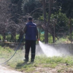 Bozdoğan bayrama hazırlanıyor