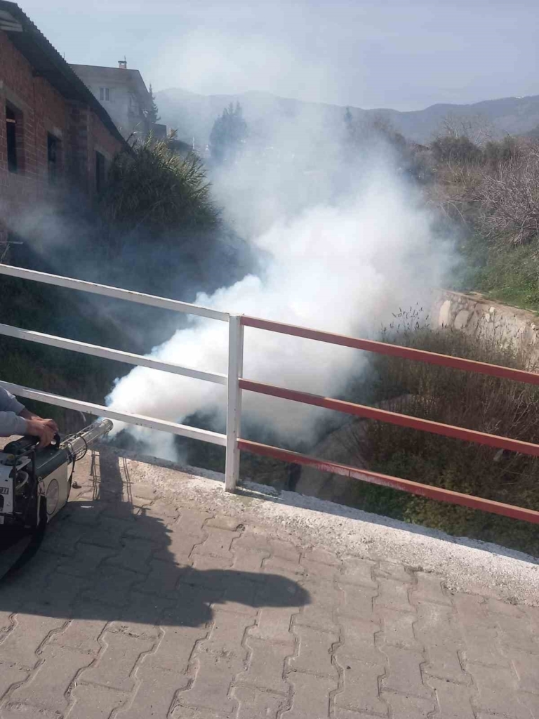 Bozdoğan Belediyesi ilaçlama çalışmalarını aralıksız sürdürüyor 6 bozdogan belediyesi ilaclama calismalarini araliksiz surduruyor 429c3d166e37