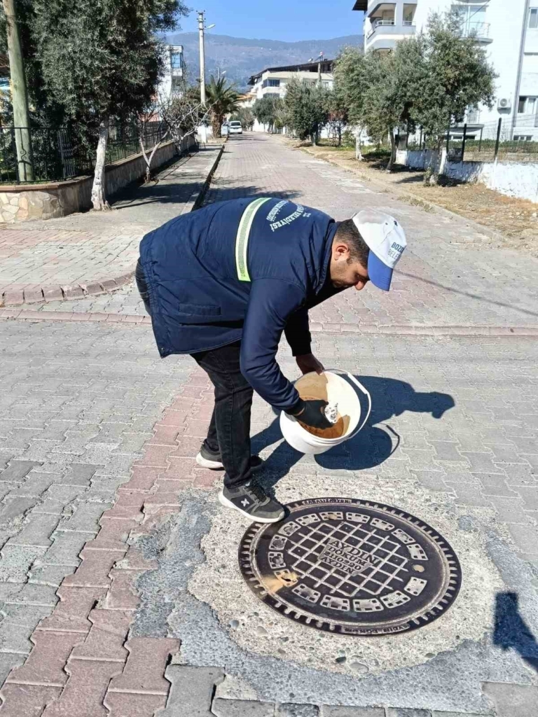 Bozdoğan Belediyesi ilaçlama çalışmalarını aralıksız sürdürüyor 3 bozdogan belediyesi ilaclama calismalarini araliksiz surduruyor 858813b6cf35