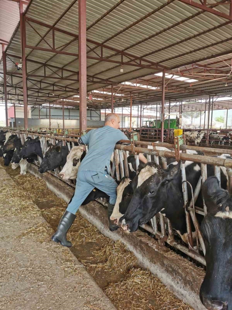 bozdoganda asi ve kupeleme calismalari suruyor cebcaaaf1985