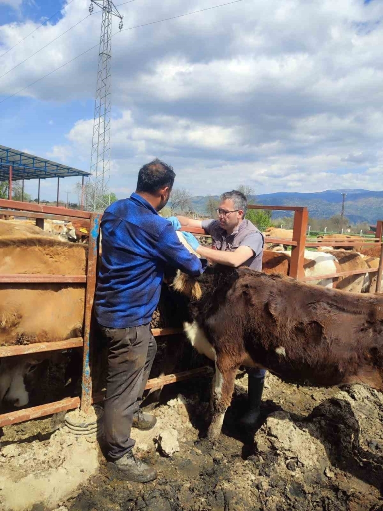 bozdoganda asi ve kupeleme calismalari suruyor f371e18c5a68