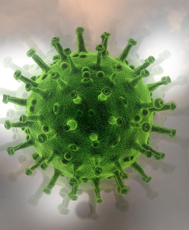 covid-varyanti-cicada-nedir