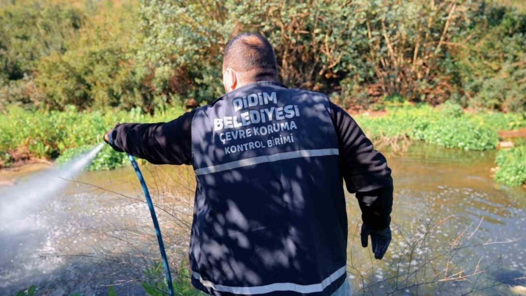 didimde vektorle mucadele dort mevsim suruyor 559f67096812