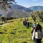 Doğaseverler kanal kenarında çıkan yangını söndürdü
