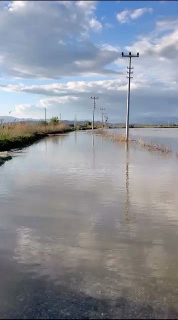 ecac1639 8e1c 41f3 b23f ba1dfc4ccd64