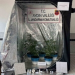 Jandarma narkotik affetmedi